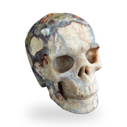 Blue Flower Agate crystal skull 3" SKH30BF16 photo 2