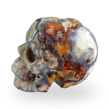 Blue Flower Agate crystal skull 3" SKH30BF16 photo 5