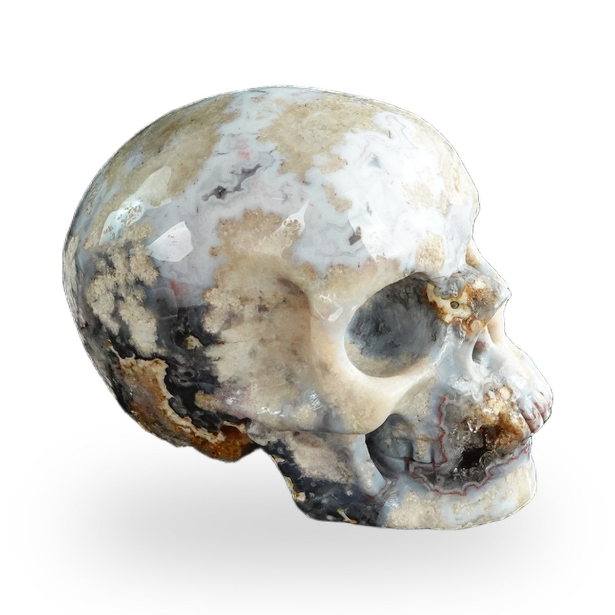 Blue Flower Agate crystal skull 3" SKH30BF17 photo 4