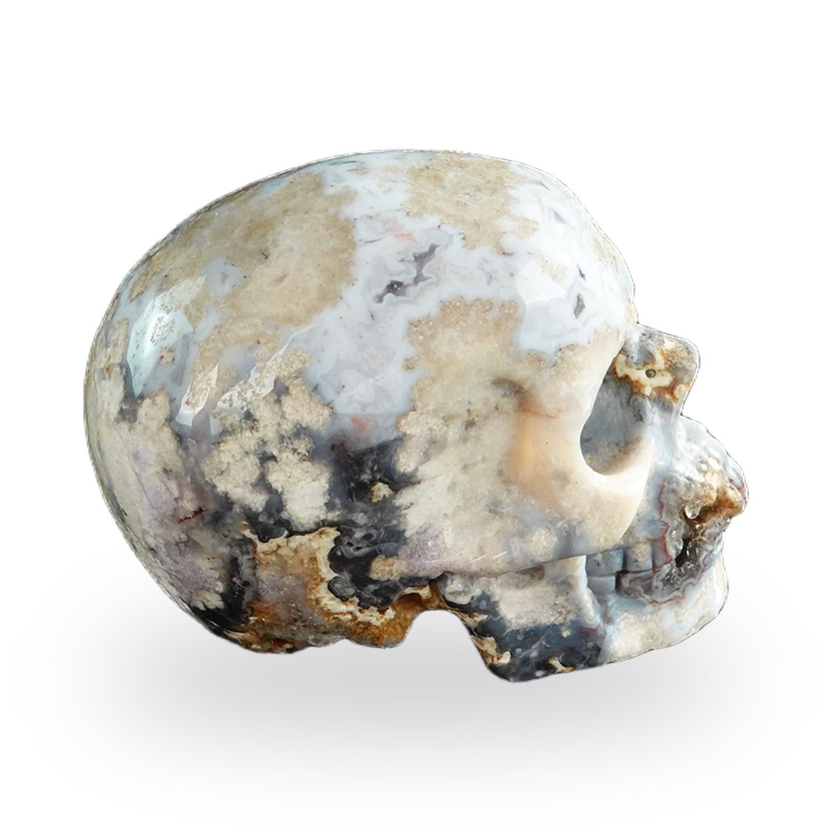 Blue Flower Agate crystal skull 3" SKH30BF17 photo 5