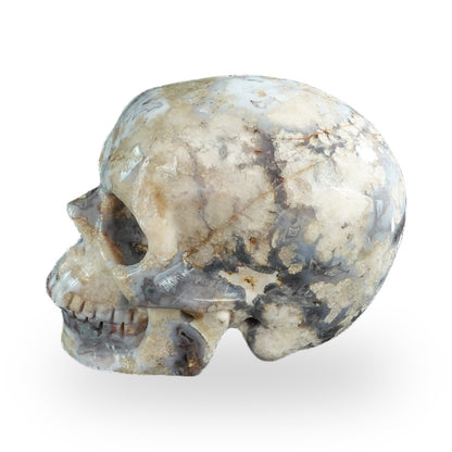 Blue Flower Agate crystal skull 3" SKH30BF17 photo 6