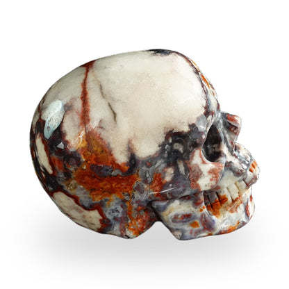 Blue Flower Agate crystal skull 3" SKH30BF18 photo 4