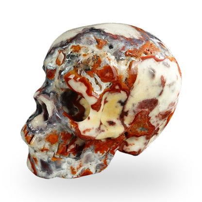 Blue Flower Agate crystal skull 3" SKH30BF18 photo 6