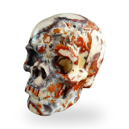 Blue Flower Agate crystal skull 3" SKH30BF18 photo 7