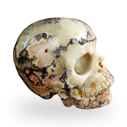 Blue Flower Agate crystal skull 3" SKH30BF20 photo 4