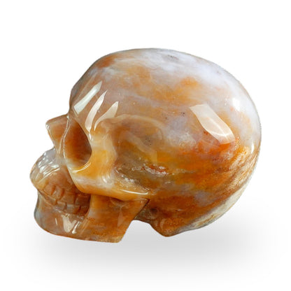 Chalcedony Jasper crystal skull 3" SKH30CJ01 view 6