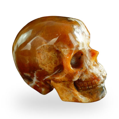 Chalcedony Jasper crystal skull 3" SKH30CJ05 photo 4