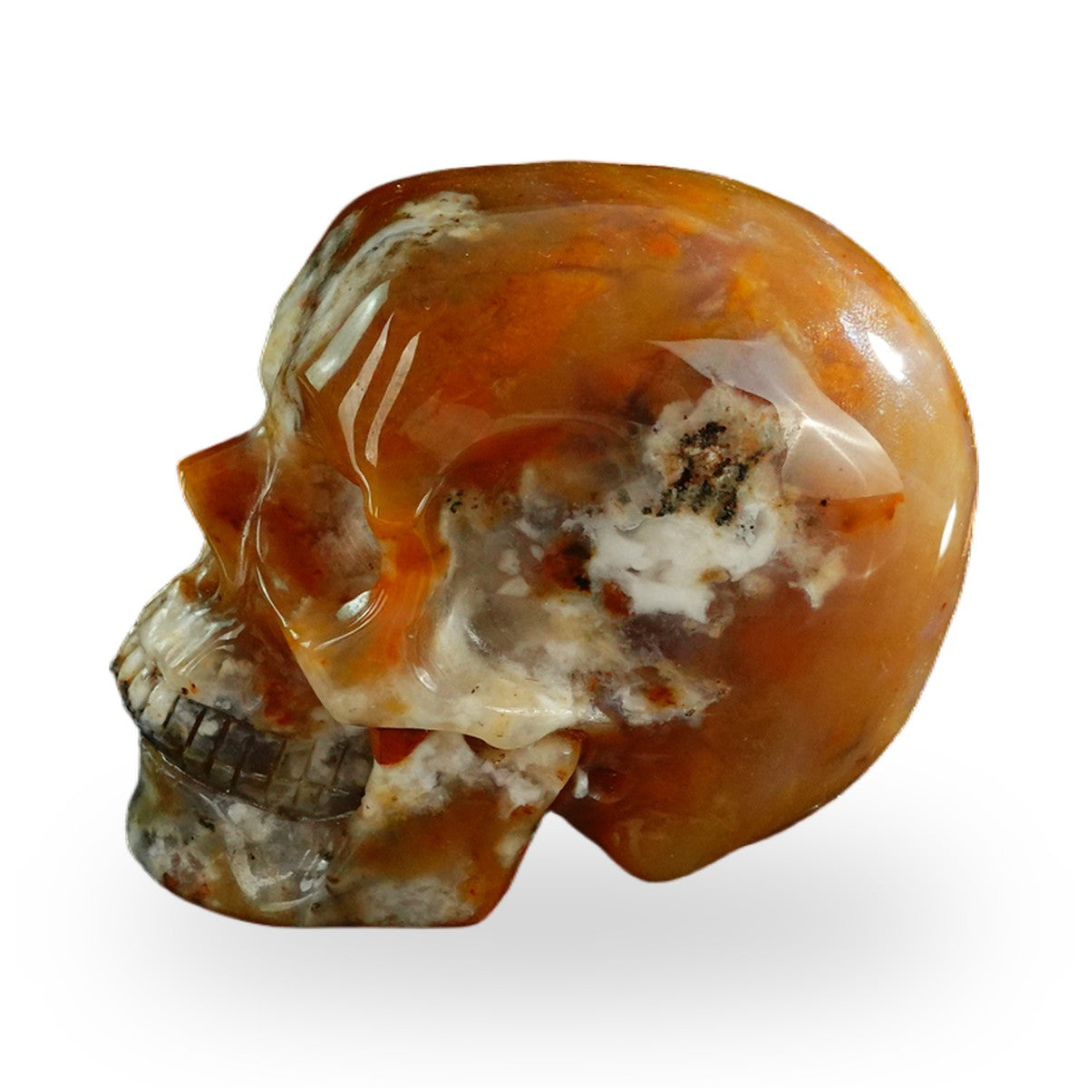 Chalcedony Jasper crystal skull 3" SKH30CJ05 photo 6