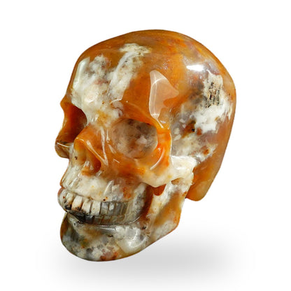 Chalcedony Jasper crystal skull 3" SKH30CJ05 photo 8