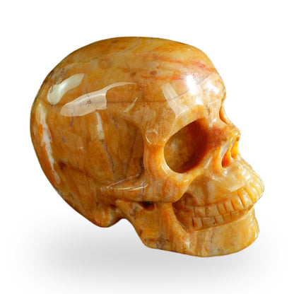Chalcedony Jasper crystal skull 3" SKH30CJ06 photo 4
