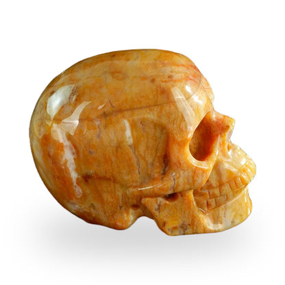 Chalcedony Jasper crystal skull 3" SKH30CJ06 photo 5