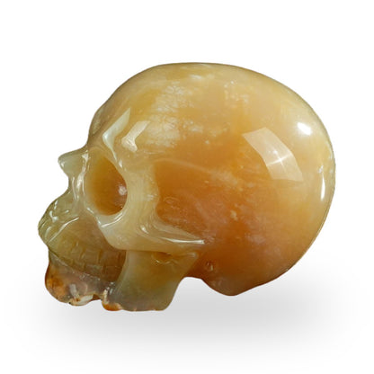 Chalcedony Jasper crystal skull 3" SKH30CJ07 photo 5