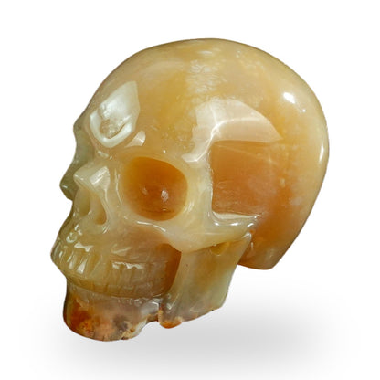 Chalcedony Jasper crystal skull 3" SKH30CJ07 photo 6