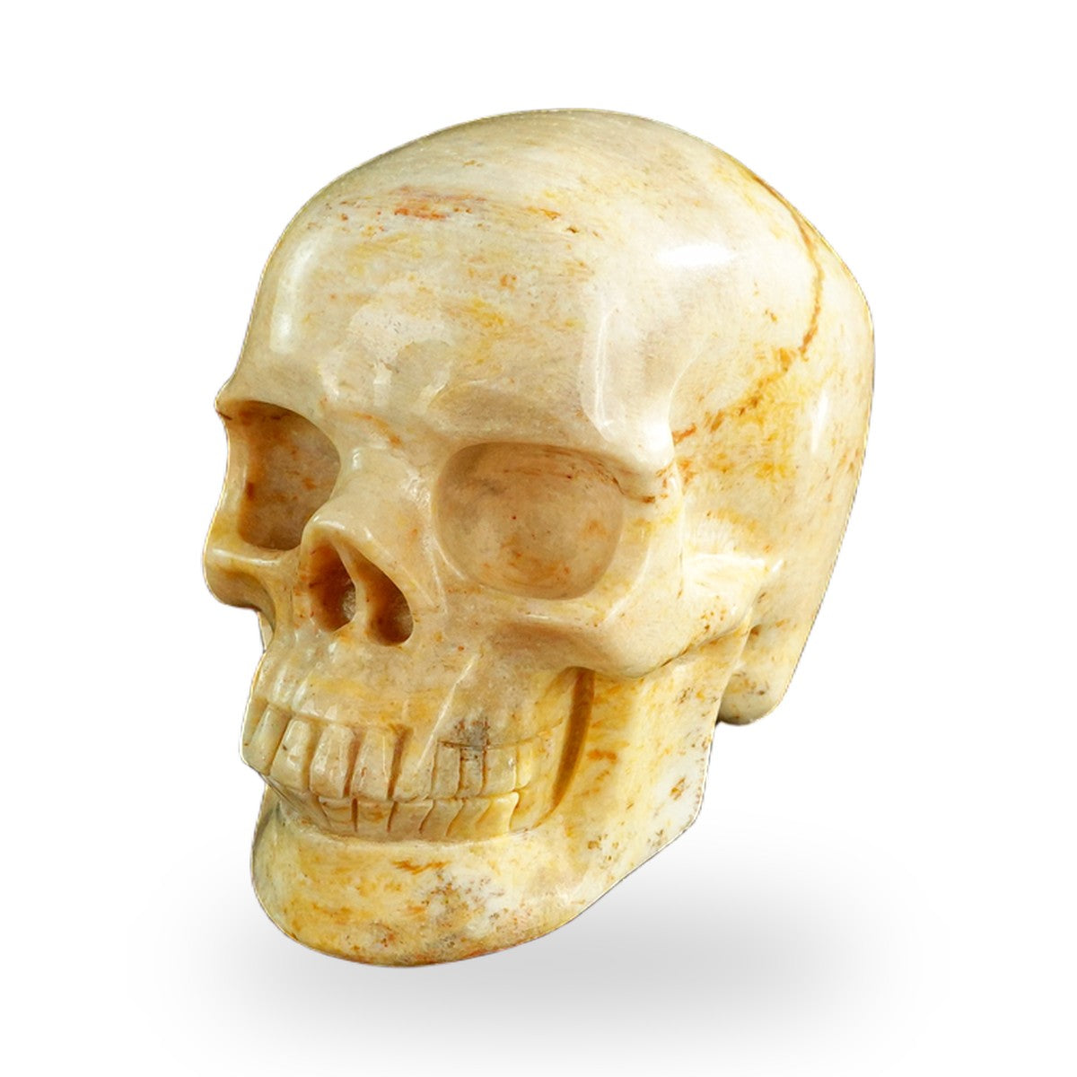 Coral Fossil crystal skull 3" SKH30CF01 view 8