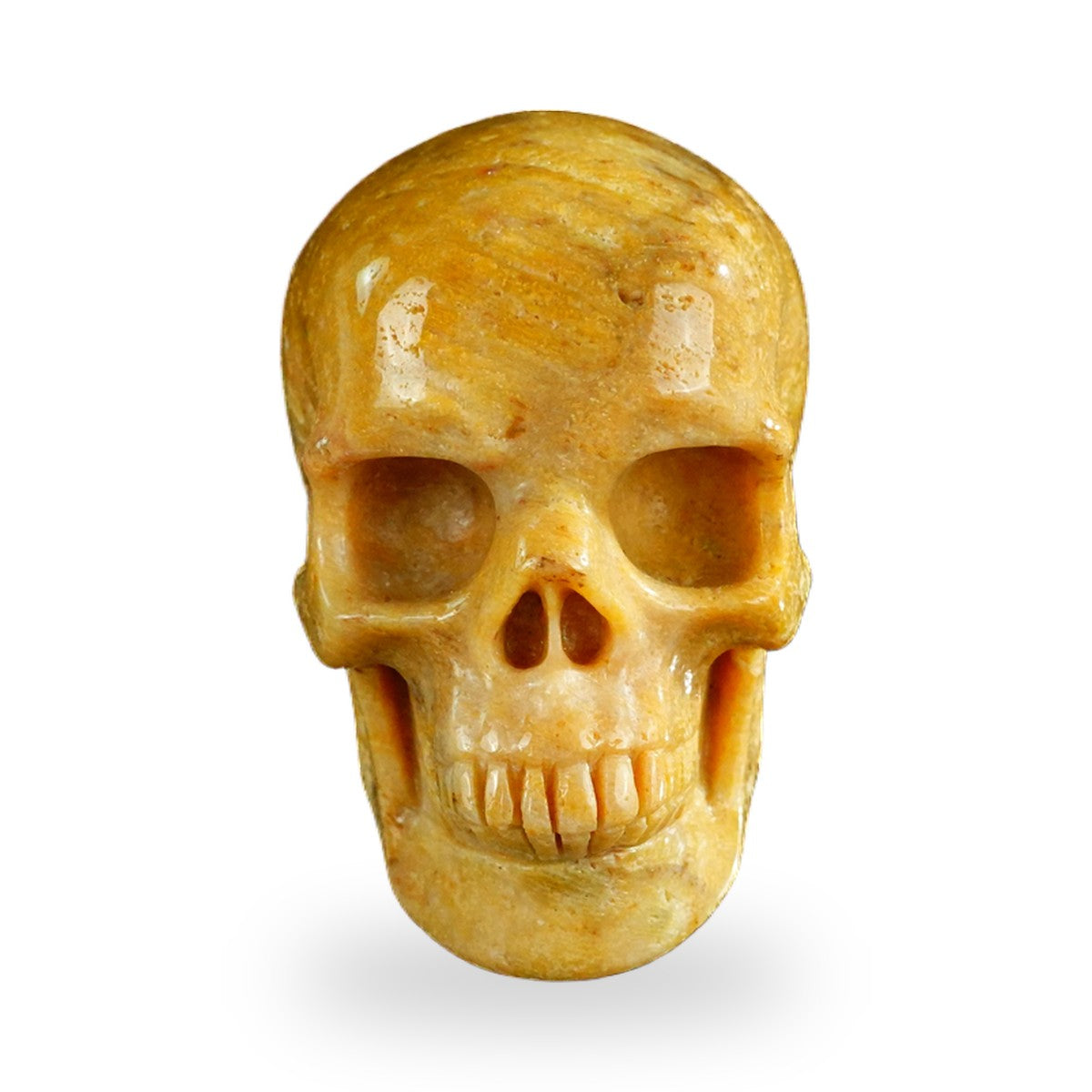 Coral Fossil crystal skull 3" SKH30CF02 photo 1