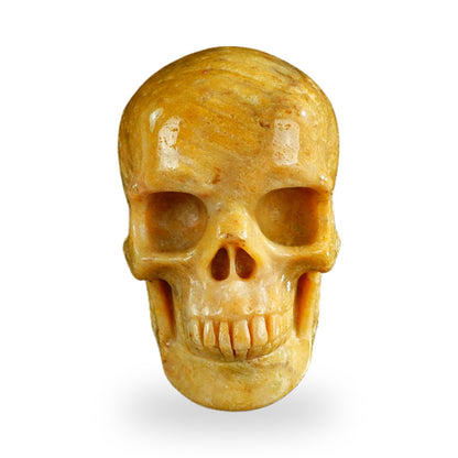 Coral Fossil crystal skull 3" SKH30CF02 photo 1