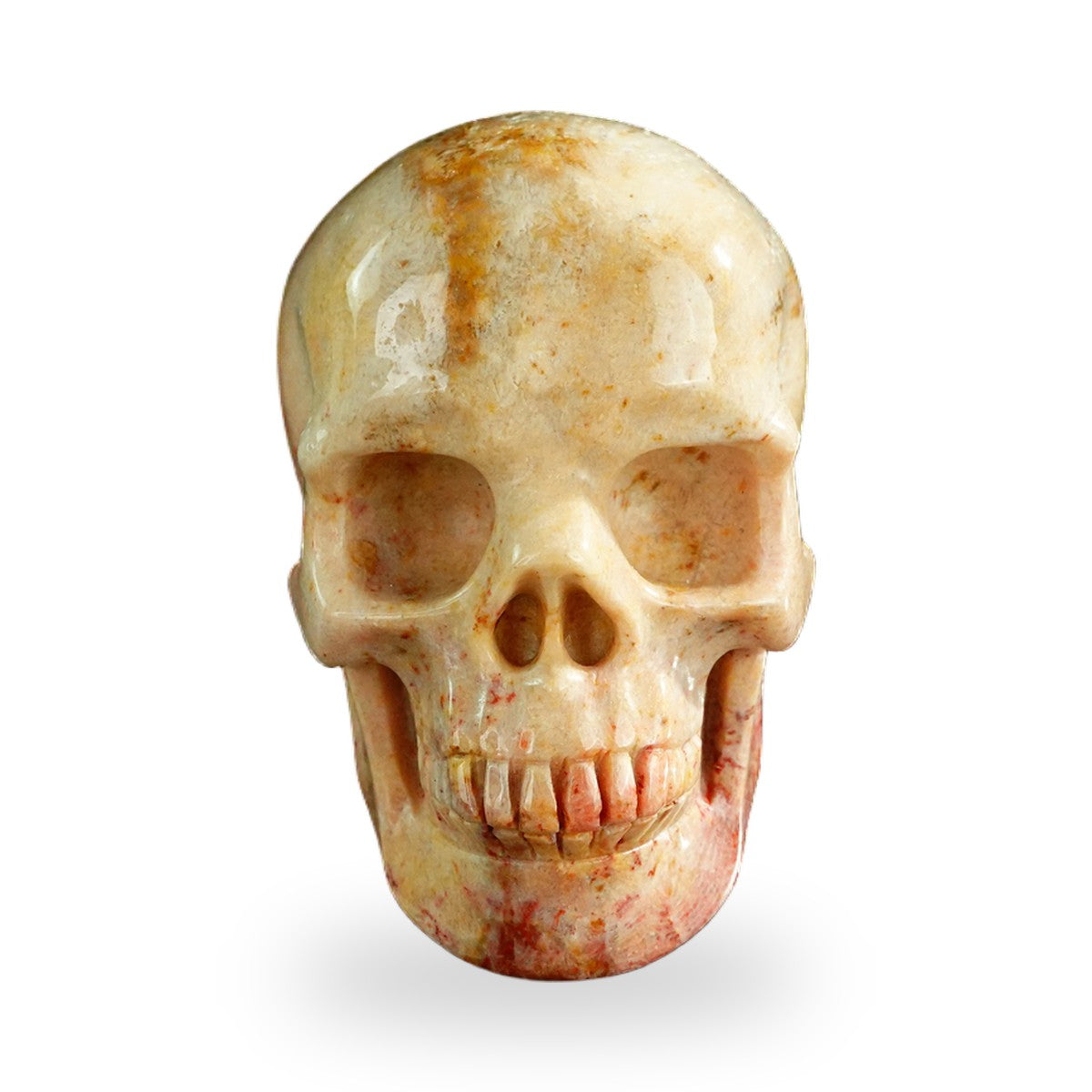 Coral Fossil crystal skull 3" SKH30CF03 photo 1