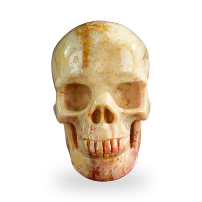 Coral Fossil crystal skull 3" SKH30CF03 photo 1