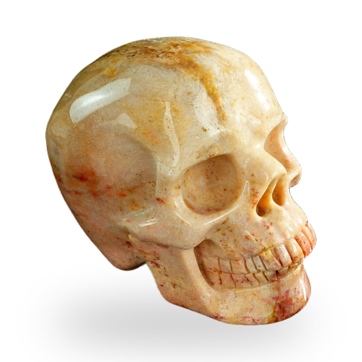 Coral Fossil crystal skull 3" SKH30CF03 photo 3