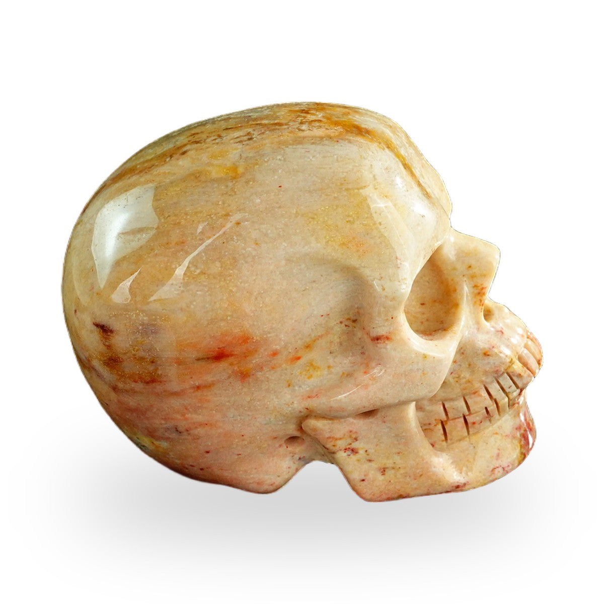 Coral Fossil crystal skull 3" SKH30CF03 photo 4