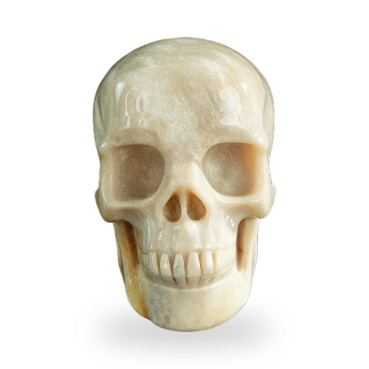 Coral Fossil crystal skull 3" SKH30CF06 photo 1