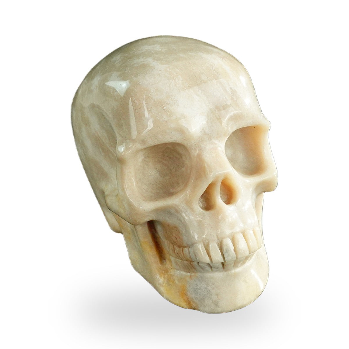 Coral Fossil crystal skull 3" SKH30CF06 photo 2