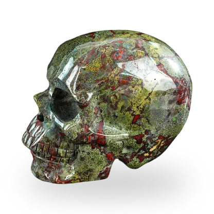 Dragon Blood Jasper crystal skull 4.5" SKH45DB01 view 5