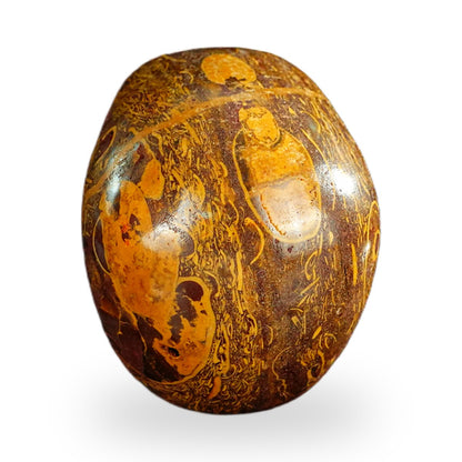 Elephant Skin Jasper crystal skull 2.2" SKH20ES03 photo 4