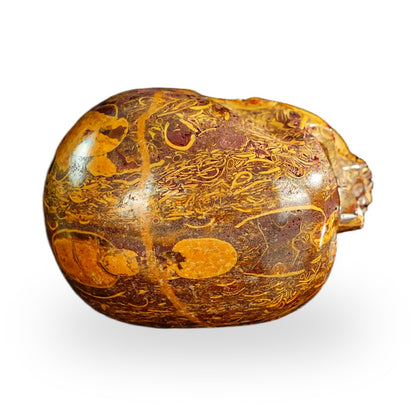 Elephant Skin Jasper crystal skull 2.2" SKH20ES03 photo 7