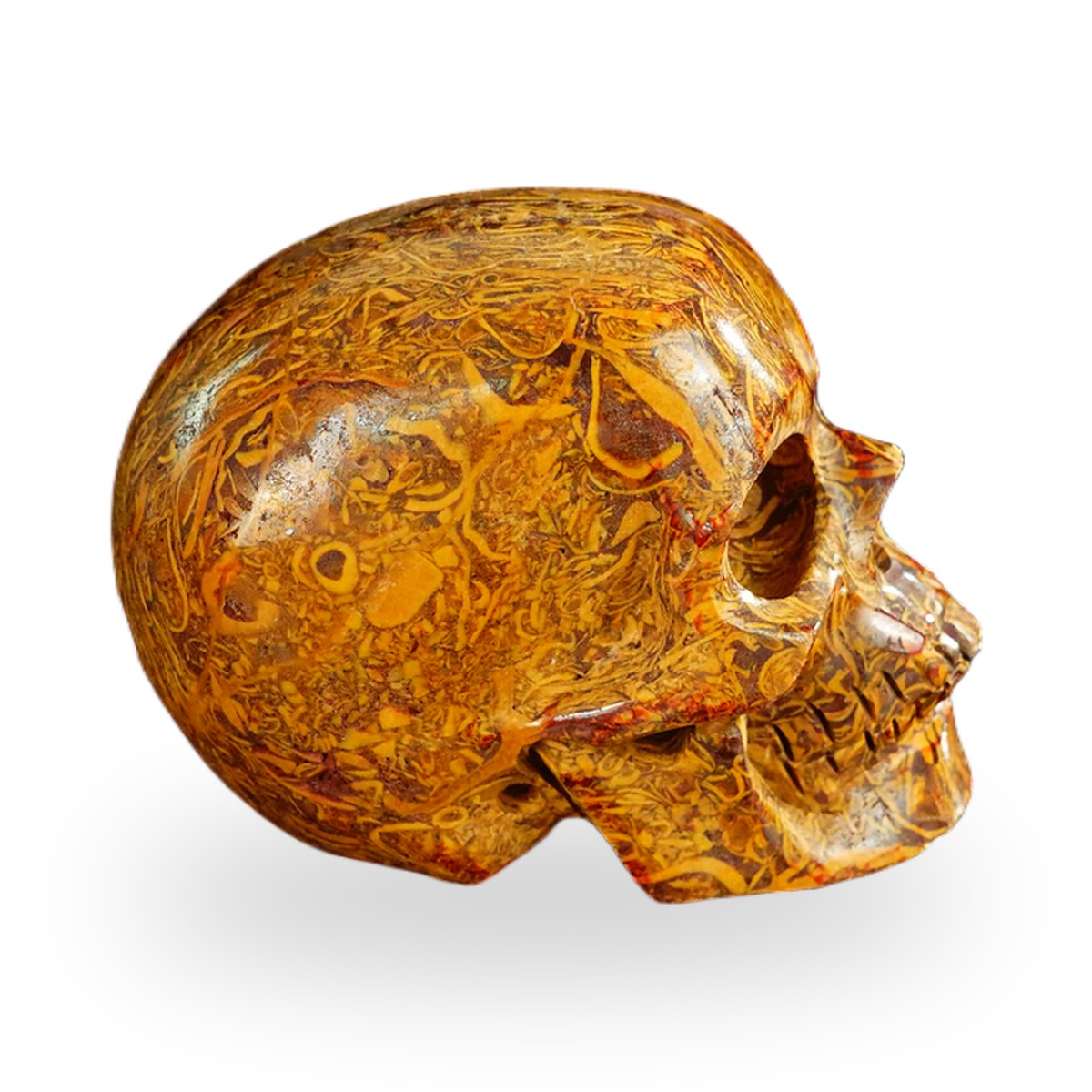 Elephant Skin Jasper crystal skull 2.2" SKH20ES05 photo 4