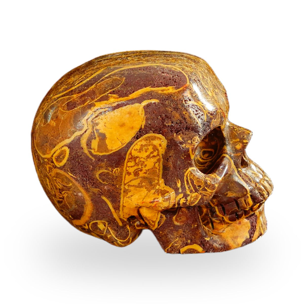 Elephant Skin Jasper crystal skull 2.2" SKH20ES14 photo 5