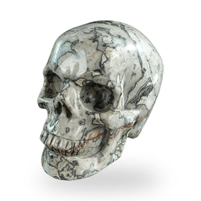 Nicedony 3" Grey Picture Jasper Hand Carved Crystal Realistic Skull Sculpture (SKU: SKH30GP01) - Photo 1