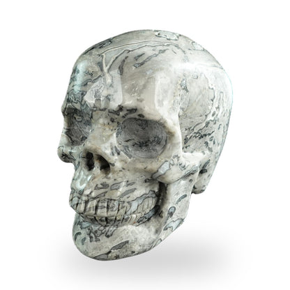 Nicedony 3" Grey Picture Jasper Hand Carved Crystal Realistic Skull Sculpture (SKU: SKH30GP05) - Photo 5