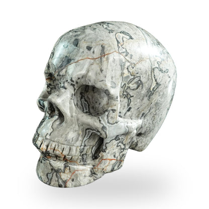 Nicedony 3" Grey Picture Jasper Hand Carved Crystal Realistic Skull Sculpture (SKU: SKH30GP06) - Photo 6