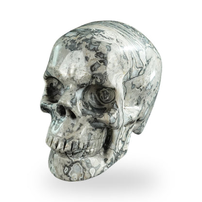 Nicedony 3" Grey Picture Jasper Hand Carved Crystal Realistic Skull Sculpture (SKU: SKH30GP07) - Photo 7