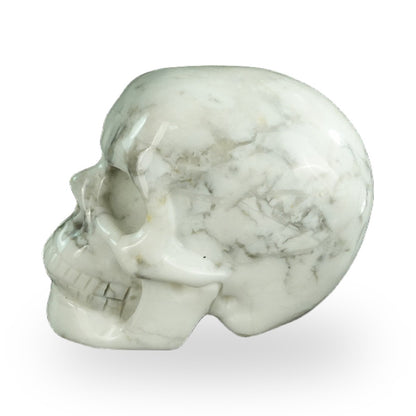 Howlite crystal skull 2.2" SKH20HL06 photo 6