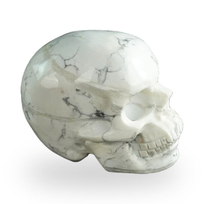 Howlite crystal skull 3" SKH30HL02 photo 5