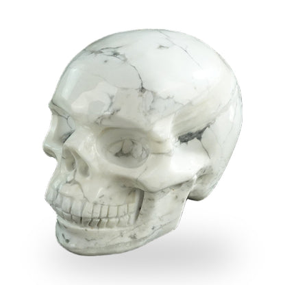 Howlite crystal skull 3" SKH30HL02 photo 8