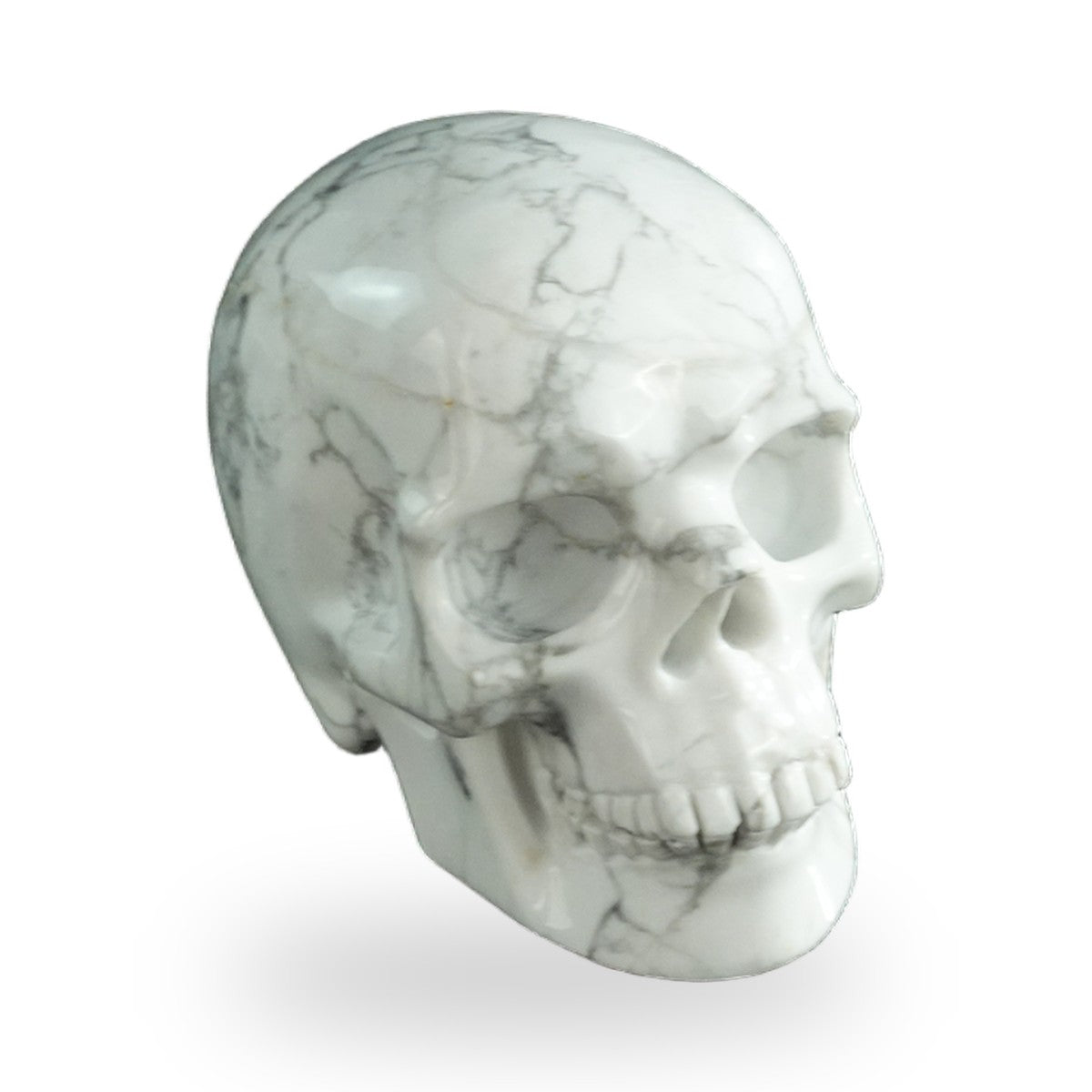 Howlite crystal skull 3" SKH30HL03 photo 2