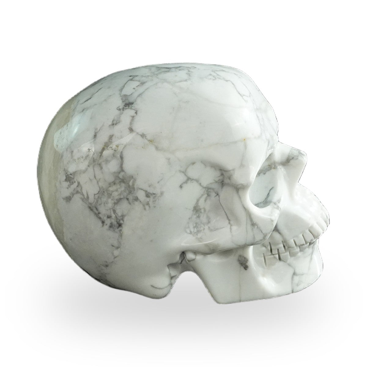 Howlite crystal skull 3" SKH30HL03 photo 5