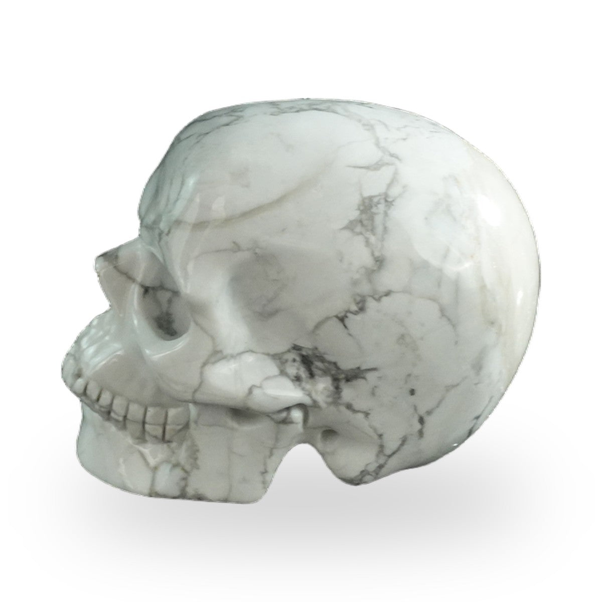 Howlite crystal skull 3" SKH30HL03 photo 6