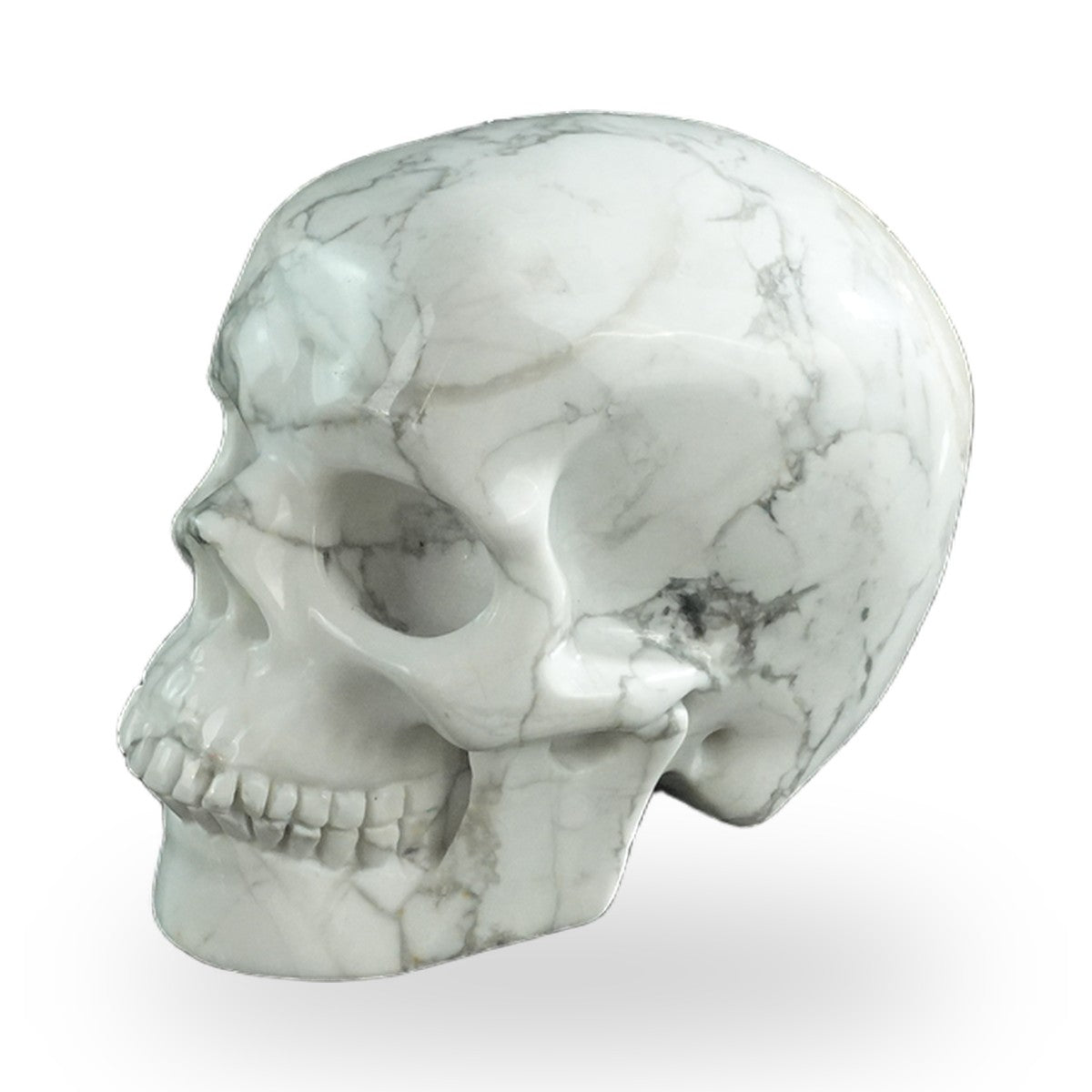 Howlite crystal skull 3" SKH30HL03 photo 7
