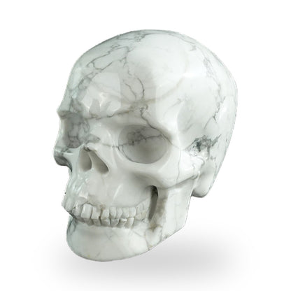 Howlite crystal skull 3" SKH30HL03 photo 8