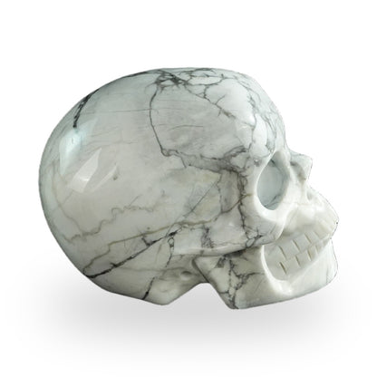 Howlite crystal skull 3" SKH30HL04 photo 5