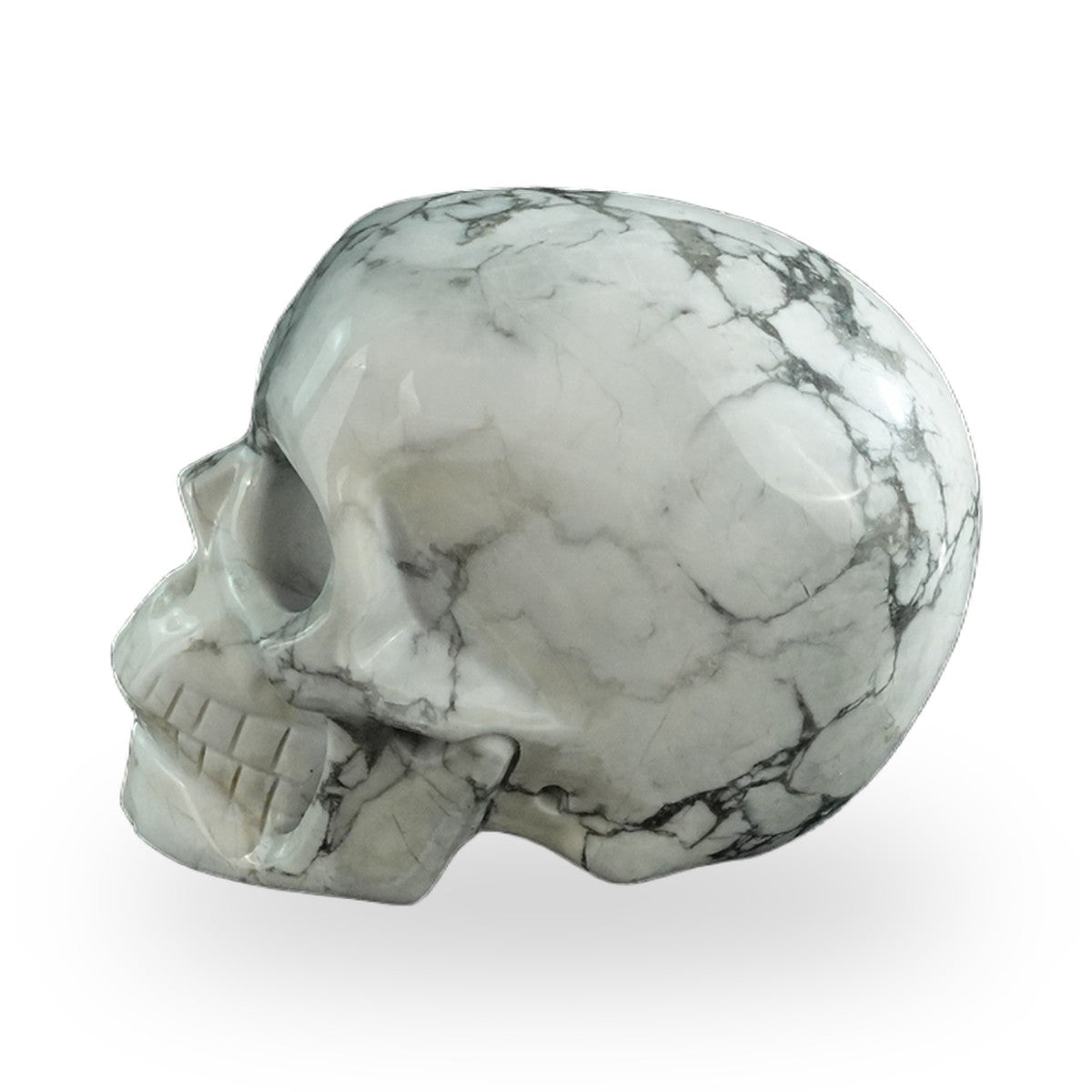 Howlite crystal skull 3" SKH30HL04 photo 6