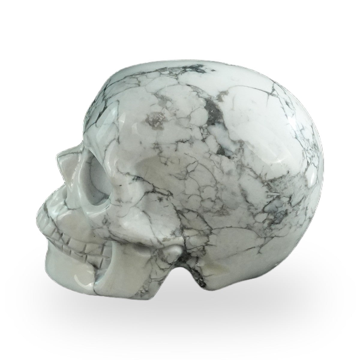 Howlite crystal skull 3" SKH30HL05 photo 6