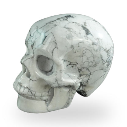 Howlite crystal skull 3" SKH30HL05 photo 7