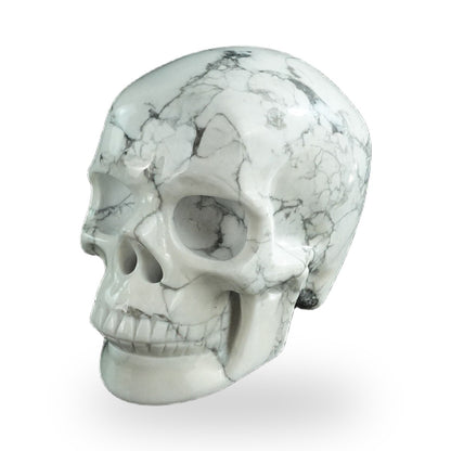 Howlite crystal skull 3" SKH30HL05 photo 8