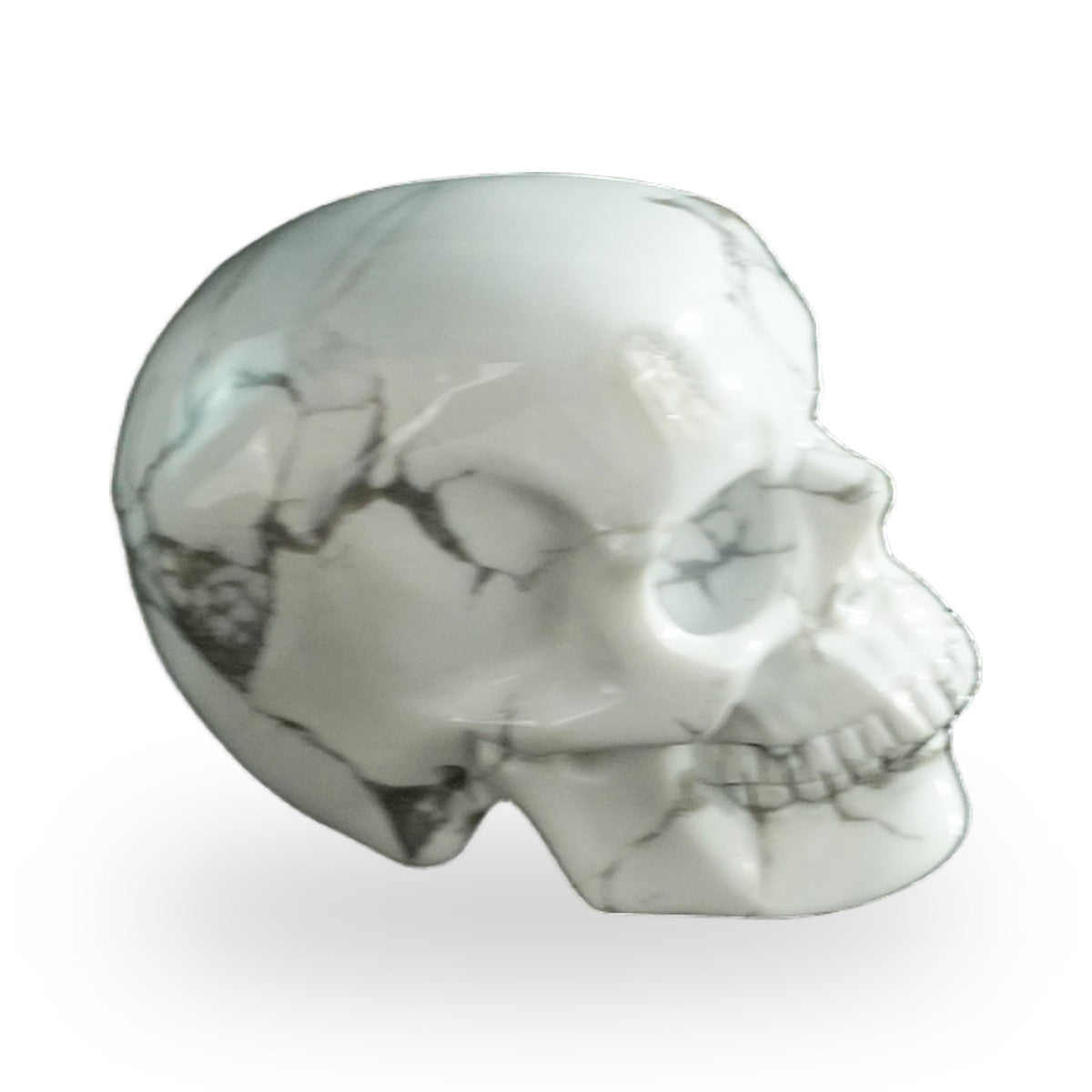 Howlite crystal skull 3" SKH30HL06 photo 4