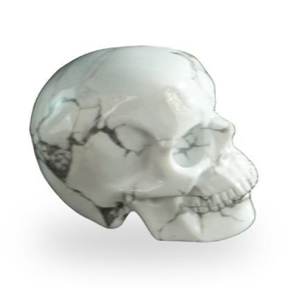 Howlite crystal skull 3" SKH30HL06 photo 4